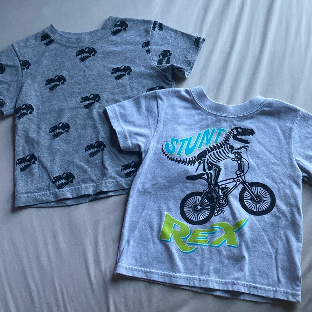 Garanimals Dinosaur Graphic T-Shirt Set